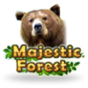 Majestic Forest