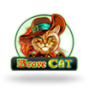 Brave Cat