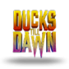Ducks Till Dawn