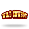 Wild Cowboy