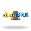 Big Catch Hold and Win