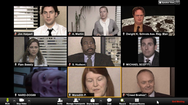 Chamada Zoom - membros