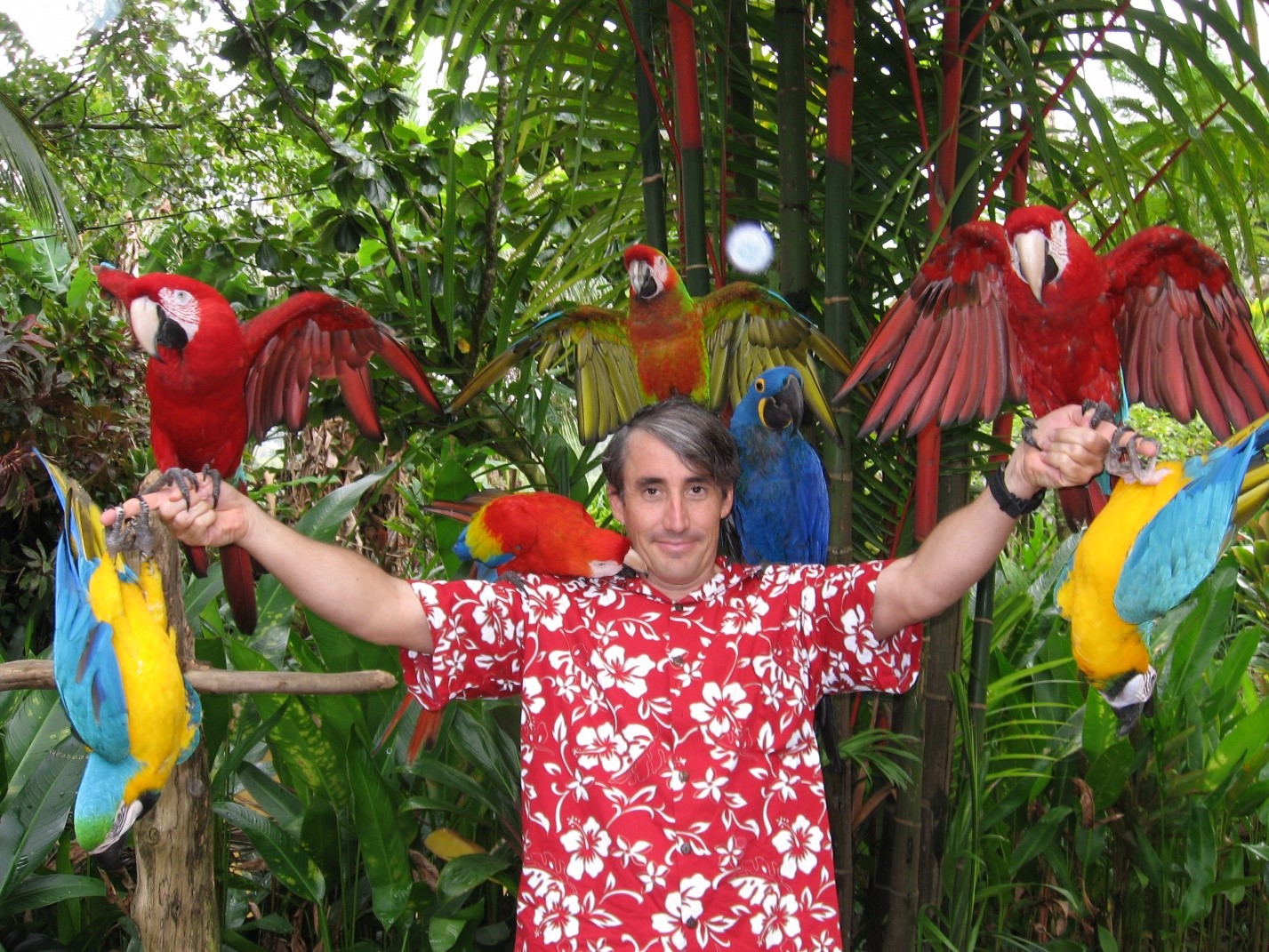 Cruzeiro pela Riviera Mexicana