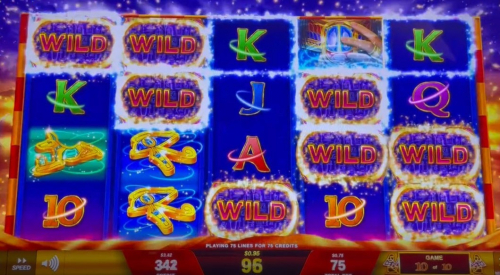 exemplo 3 de escaravelho