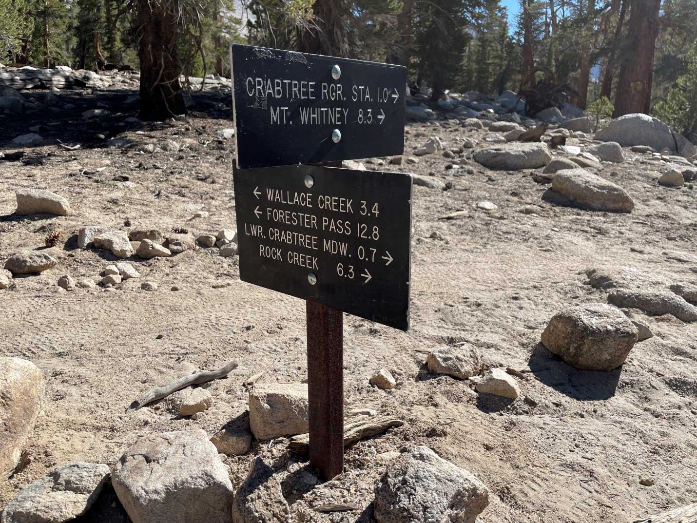 árvore de caranguejo