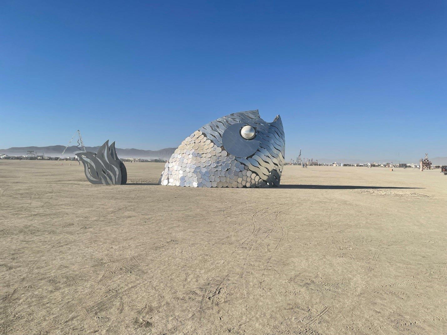 outra criatura aquática onipresente