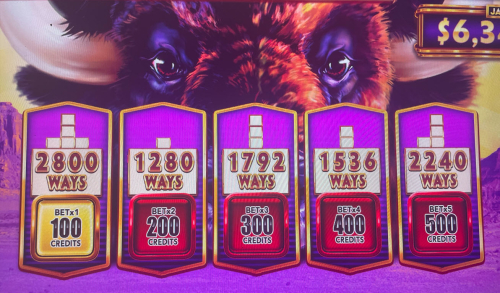 Ascensão do búfalo: maneiras de vencer