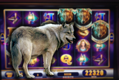 sistema_definitivo_5