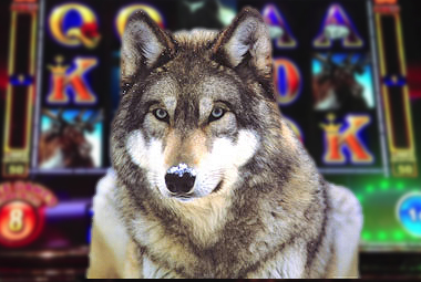 sistema_capítulo_seis_6